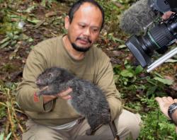 Jeden z członków ekspedycji Martua Sinaga trzyma w rękach gigantycznego szczura o wadze 1.4 kg