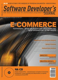 SDJ 11/2008 - E- Commerce