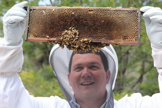 Intel ratuje pszczoły